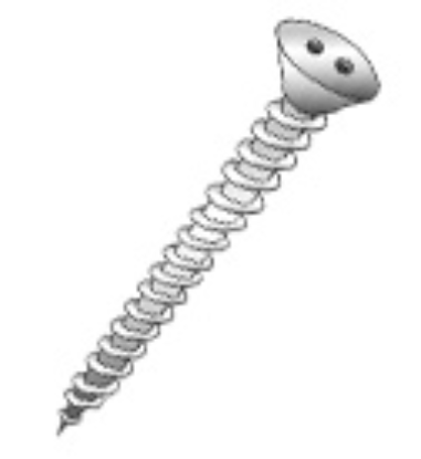 Picture of Sheet Metal Screw