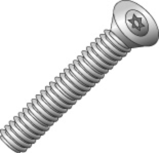 Picture of Tamperproof Machine Screw