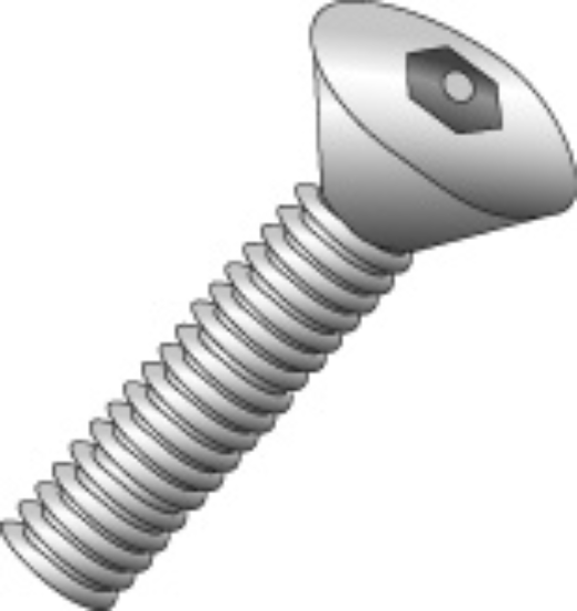 Picture of Tamperproof Machine Screw