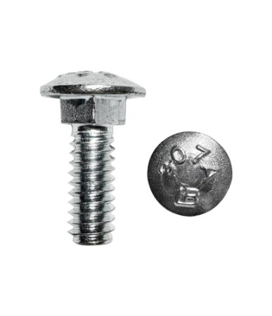 Picture for category Carriage Bolts
