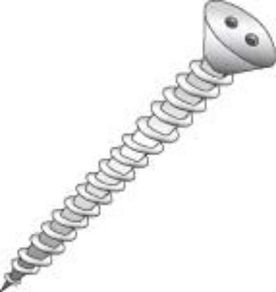 Picture of Tamperproof Sheet Metal Screw