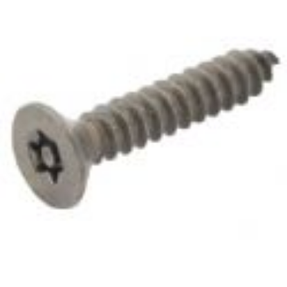Picture of Tamperproof Sheet Metal Screw