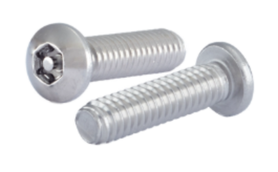 Picture of Tamperproof Machine Screw